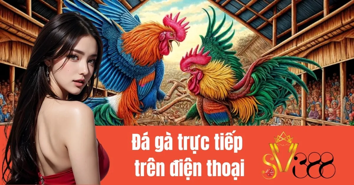 Đá gà trực tiếp trên điện thoại