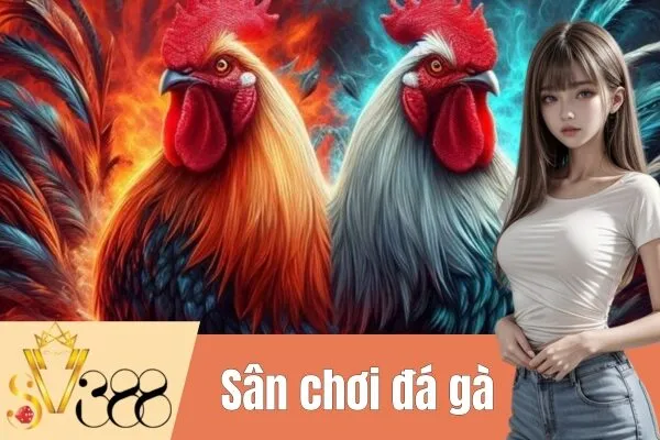 Hướng dẫn đá gà